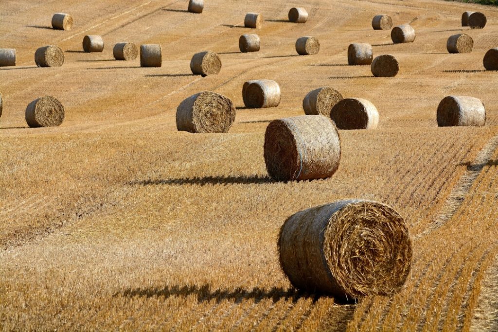 Investors Are Positioning Agricultural Assets in Tax-Sheltered Accounts as Commodity Markets Signal Major Shifts